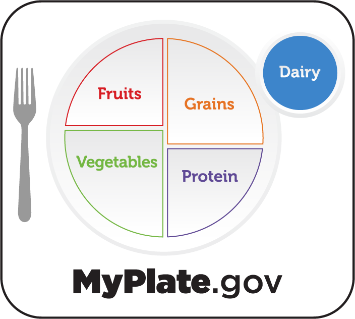 An illustration of a plate with the recommended portions of foods and a circle on the side of the plate representing a glass in a blue color with the word dairy on it.